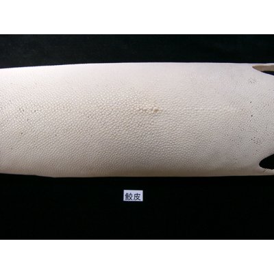 Photo1: Samegawa No.1 