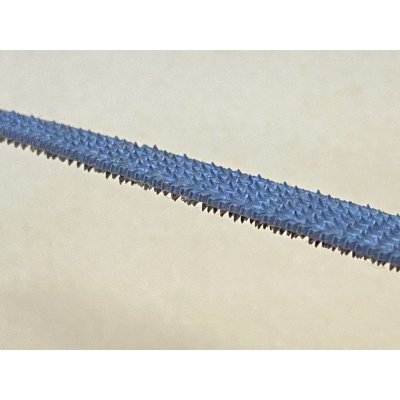 Photo6: File for Tsuka