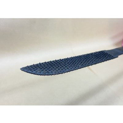 Photo7: File for Saya