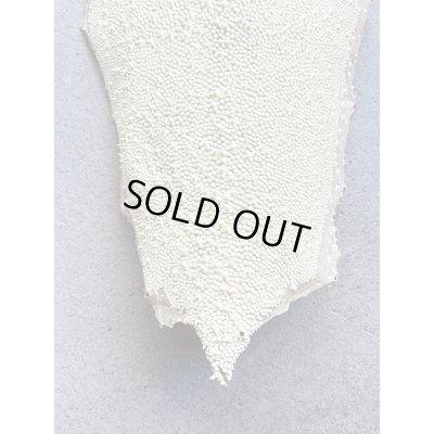 Photo4: Kairagi-same 40000 A