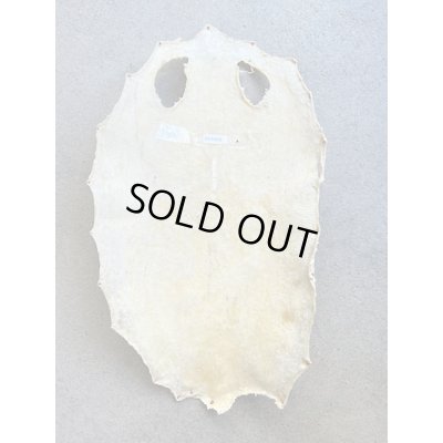 Photo5: Kairagi-same 50000 A