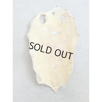 Photo5: Kairagi-same 40000 A