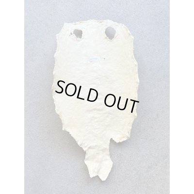 Photo5: Kairagi-same 40000 B