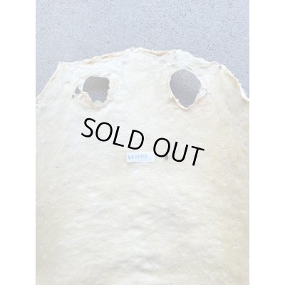 Photo6: Kairagi-same 40000 B