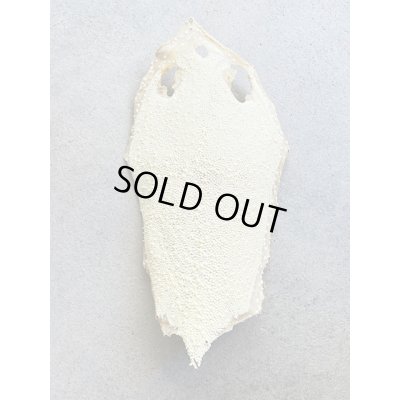 Photo1: Kairagi-same 40000 A