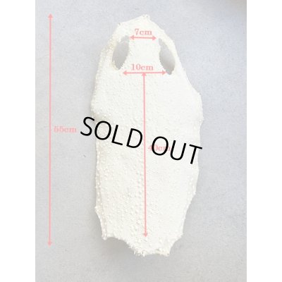 Photo7: Kairagi-same 50000 A