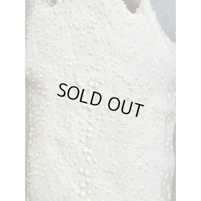 Photo3: Kairagi-same 50000 A