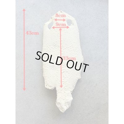 Photo7: Kairagi-same 40000 B