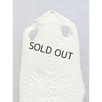 Photo2: Kairagi-same 40000 B