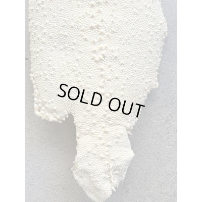 Photo4: Kairagi-same 40000 B