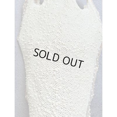 Photo3: Kairagi-same 40000 A