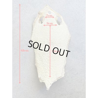 Photo7: Kairagi-same 40000 A