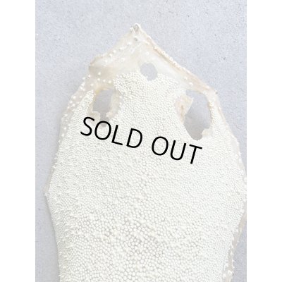 Photo2: Kairagi-same 40000 A