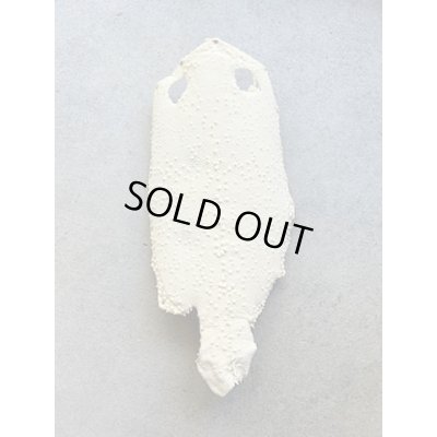 Photo1: Kairagi-same 40000 B