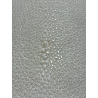 Photo5: Samegawa, Slightly Flawed -Small-