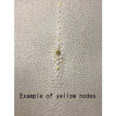 Photo2: Samegawa, Slightly Flawed Extra Large 