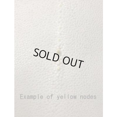 Photo2: Samegawa, Slightly Flawed Extra Large 