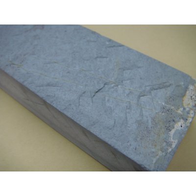 Photo7: Uchigumori 120000 A