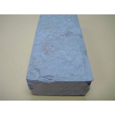 Photo9: Uchigumori 8000 C