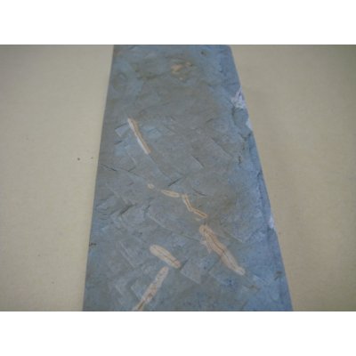 Photo7: Uchigumori 10000 E