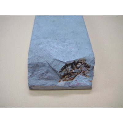 Photo9: Uchigumori 12000 B