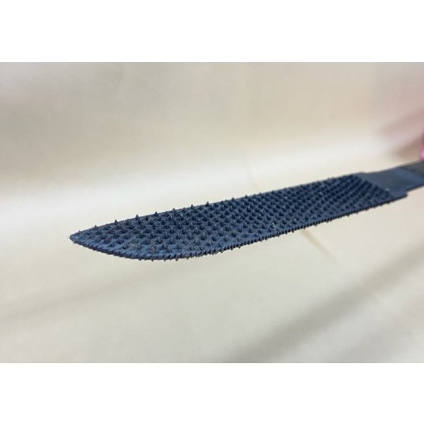 Photo7: File for Saya (7)