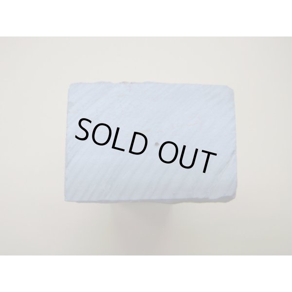 Photo15: Uchigumori 150000 F (15)