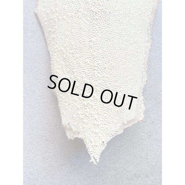 Photo4: Kairagi-same 40000 A (4)