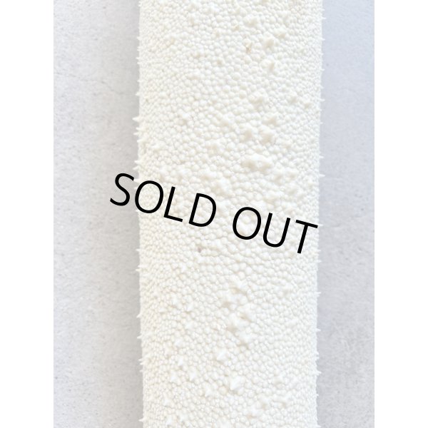 Photo5: Kairagi-same 50000 B (5)