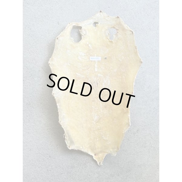 Photo5: Kairagi-same 40000 A (5)