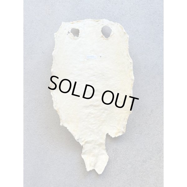 Photo5: Kairagi-same 40000 B (5)