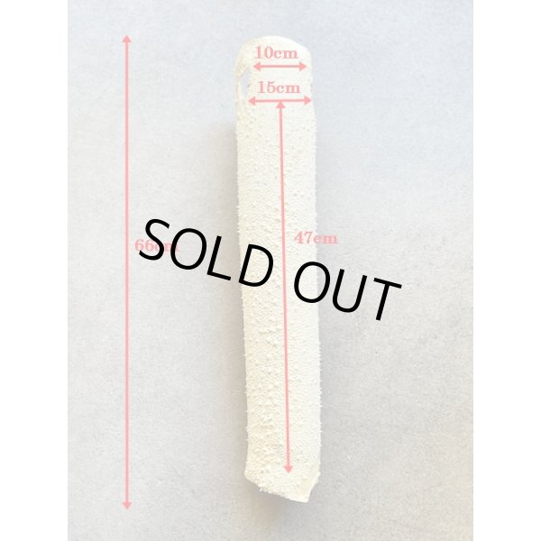 Photo7: Kairagi-same 50000 B (7)