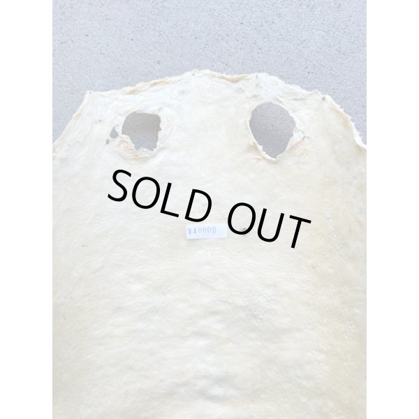 Photo6: Kairagi-same 40000 B (6)