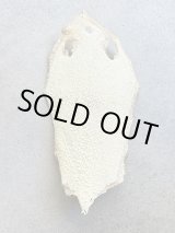 Photo: Kairagi-same 40000 A