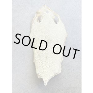 Photo: Kairagi-same 40000 A