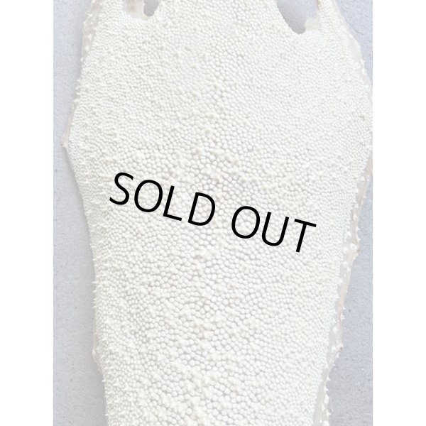 Photo3: Kairagi-same 40000 A (3)