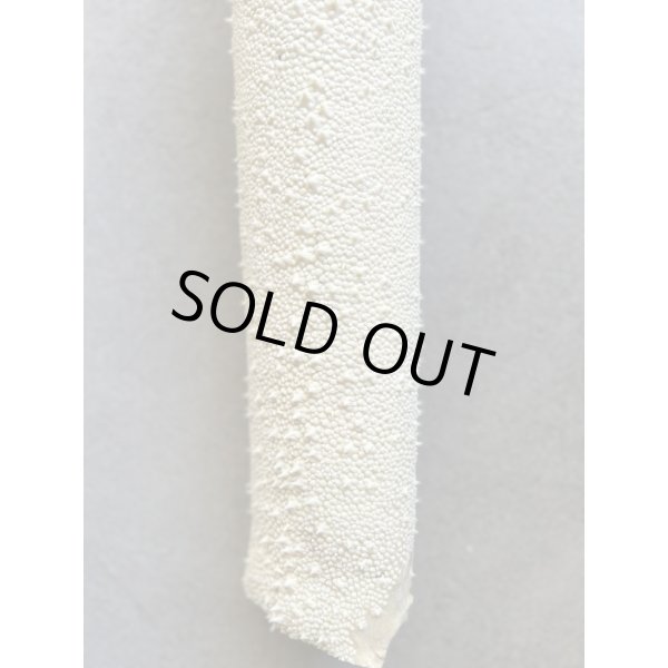 Photo4: Kairagi-same 50000 B (4)