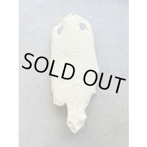 Photo: Kairagi-same 40000 B