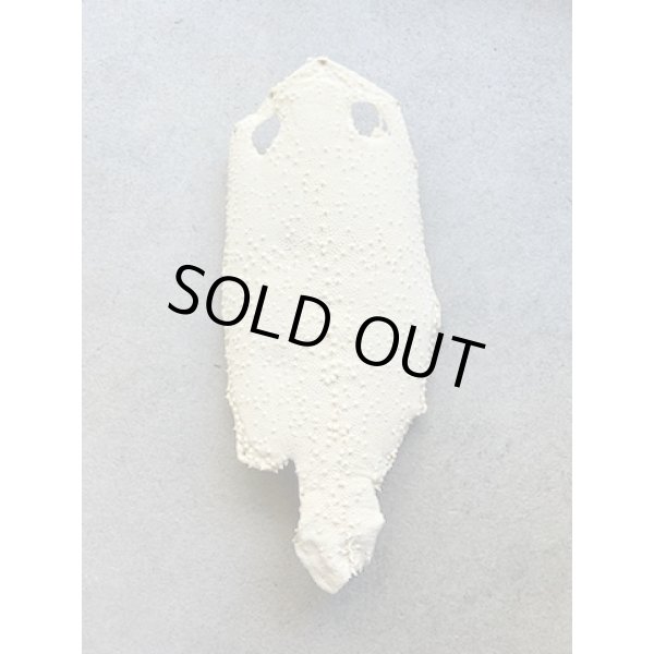 Photo1: Kairagi-same 40000 B (1)