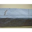 Photo10: Uchigumori 60000 C (10)