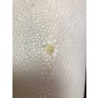 Photo4: Samegawa, Slightly Flawed -Small- (4)
