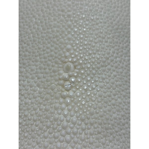 Photo5: Samegawa, Slightly Flawed -Small- (5)