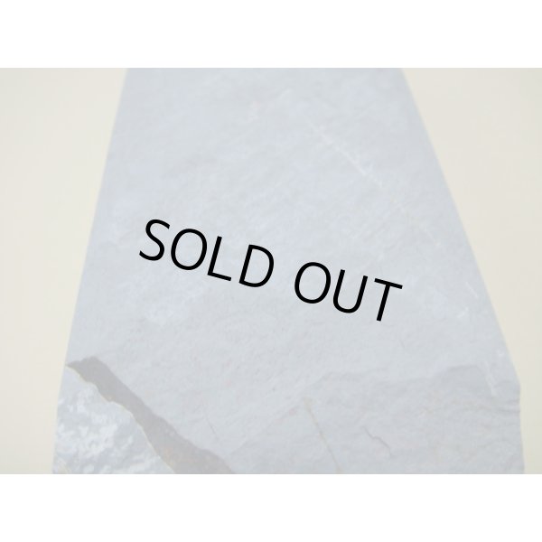 Photo9: Uchigumori 60000 G (9)