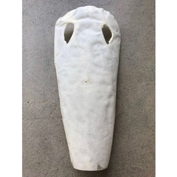 Photo1: Samegawa, Slightly Flawed Extra Large  (1)