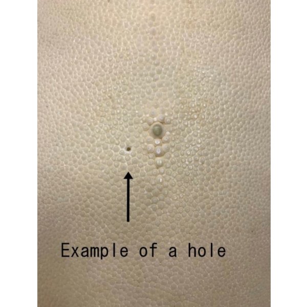 Photo5: Samegawa, Slightly Flawed Extra Large  (5)