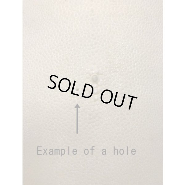 Photo5: Samegawa, Slightly Flawed Extra Large  (5)