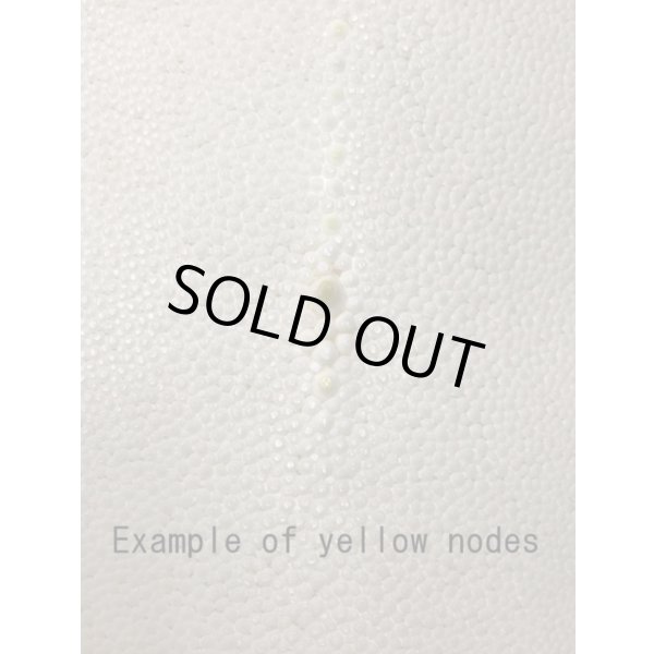 Photo2: Samegawa, Slightly Flawed Extra Large  (2)