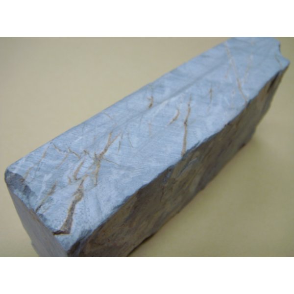 Photo6: Uchigumori 8000 C (6)