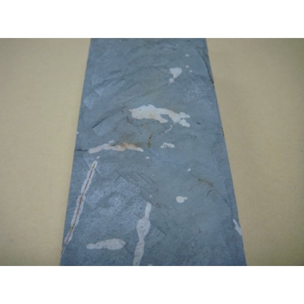 Photo7: Uchigumori 10000 C (7)