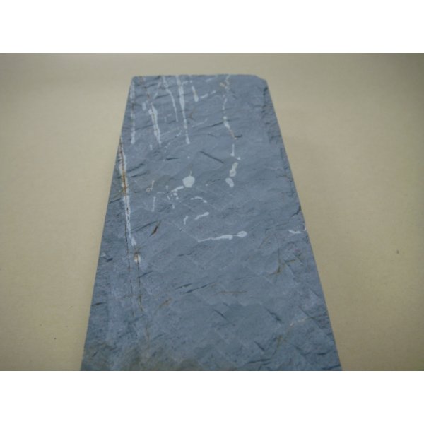 Photo11: Uchigumori 25000 D (11)